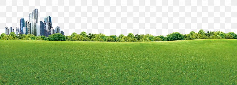 Crop Biome Grassland Rural Area Land Lot, PNG, 2551x916px, Crop, Agriculture, Biome, Commodity, Daytime Download Free