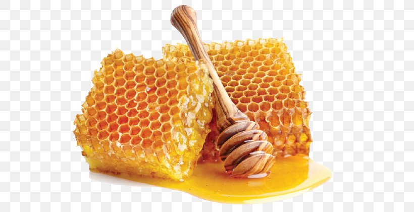Mānuka Honey Sugar Methylglyoxal Ingredient, PNG, 800x420px, Honey, Company, Corn On The Cob, Dish, Food Download Free