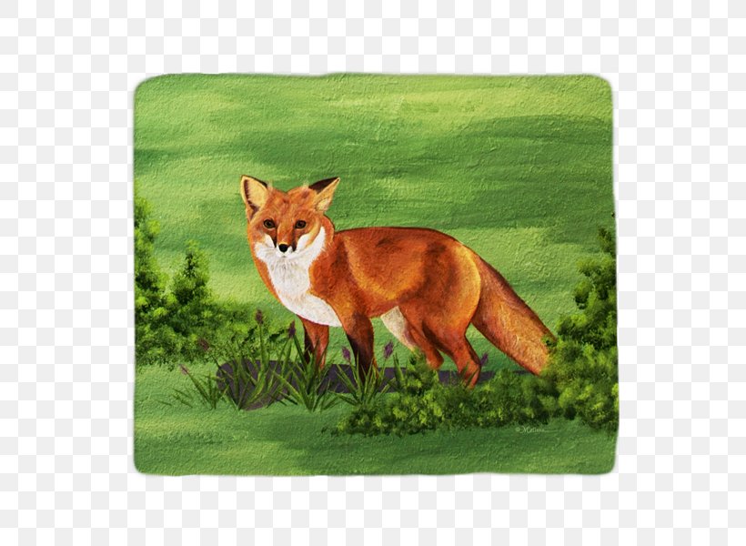 Red Fox Fauna Snout Wildlife Tail, PNG, 600x600px, Red Fox, Carnivoran, Dog Like Mammal, Fauna, Fox Download Free