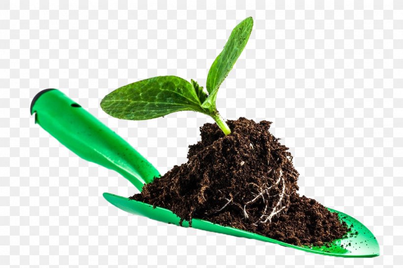 Soil Shovel Clip Art, PNG, 1024x682px, Soil, Food, Herbalism, Medicine, Plant Download Free