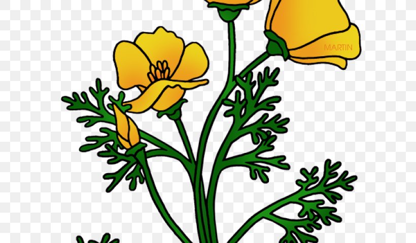 Clip Art Openclipart Drawing Floral Design Free Content, PNG, 640x480px, Drawing, Annual Plant, Art, Artwork, California Poppy Download Free