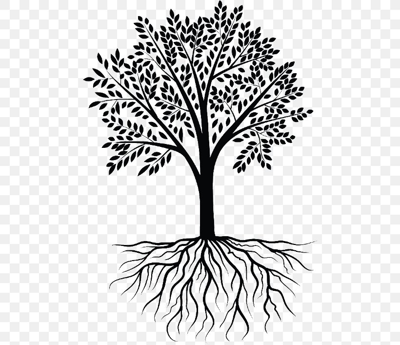 Clip Art Root Vector Graphics Tree Wall Decal, PNG, 480x707px, Root, Black And White, Branch, Decal, Drawing Download Free