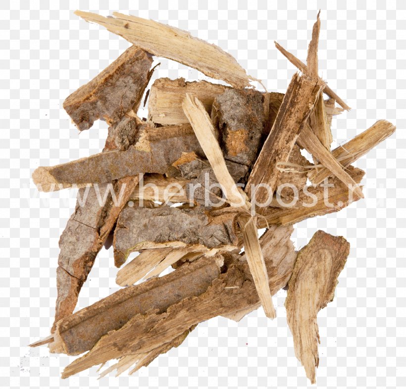 European Aspen Bark Pharmaceutical Drug Birch, PNG, 1024x981px, European Aspen, Aspen, Bark, Birch, Birch Bark Download Free