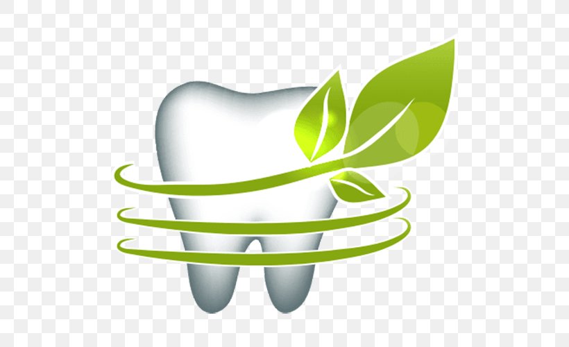 Human Tooth Euclidean Vector Leaf Dentistry, PNG, 500x500px, Human Tooth, Alternative Medicine, Anatomy, Deciduous, Deciduous Teeth Download Free