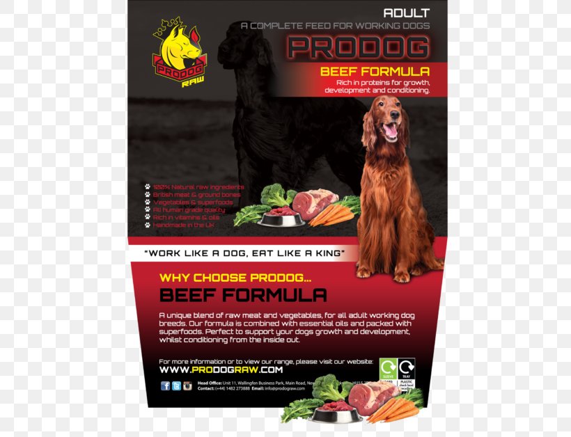 Raw Foodism Shih Tzu Dog Food Raw Feeding Offal, PNG, 600x628px, Raw Foodism, Advertising, Beef, Chicken As Food, Diet Download Free