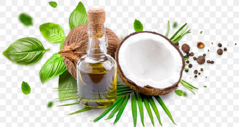 Coconut Oil Cooking Oils Coconut Milk, PNG, 982x522px, Coconut Oil, Coconut, Coconut Milk, Cooking Oils, Food Download Free