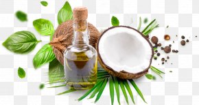 Oil - Coconut Oil Cooking Oils Coconut Milk PNG