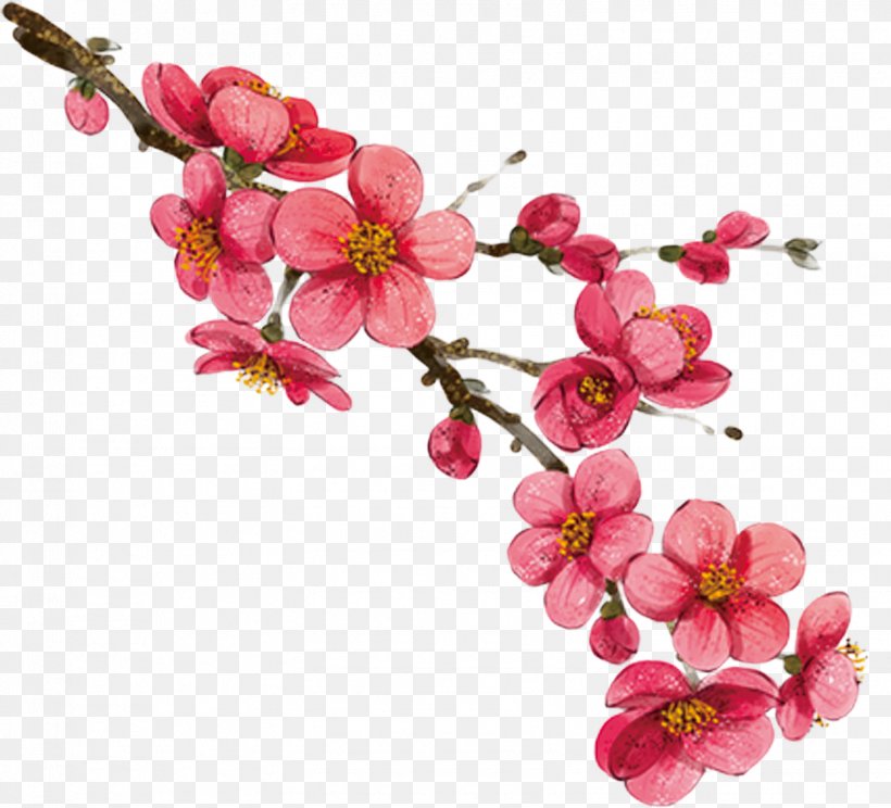 Download Cartoon, PNG, 1556x1412px, Cartoon, Blossom, Branch, Cherry, Cherry Blossom Download Free