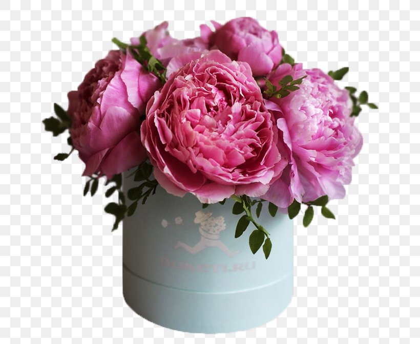 Garden Roses Cabbage Rose Floral Design Cut Flowers Vase, PNG, 660x672px, Garden Roses, Cabbage Rose, Cut Flowers, Family, Floral Design Download Free