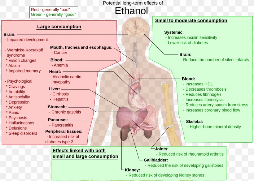 Long-term Effects Of Alcohol Consumption Alcoholism Alcohol And Health Ethanol Alcoholic Drink, PNG, 2000x1428px, Watercolor, Cartoon, Flower, Frame, Heart Download Free
