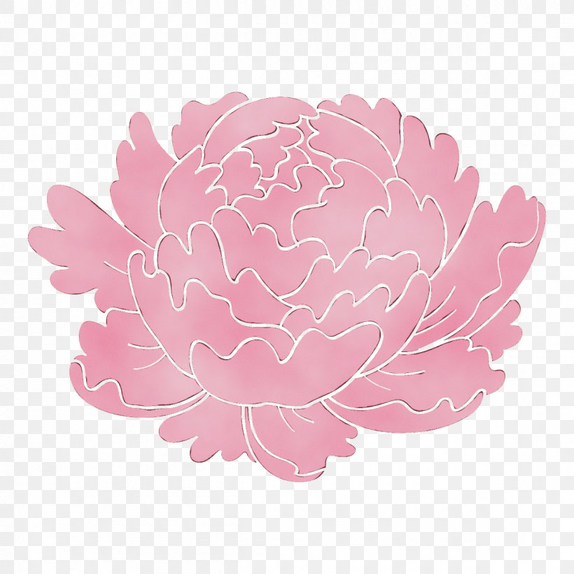 Pink Flower Petal Plant Peony, PNG, 1200x1200px, Watercolor, Chinese Peony, Flower, Flowering Plant, Paint Download Free