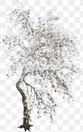 Tree - Twig Tree Raster Graphics Computer Graphics PNG