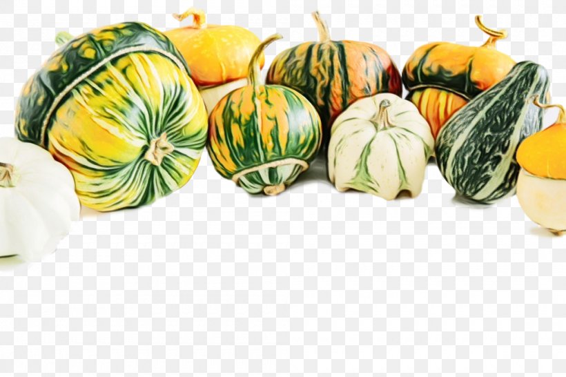 Vegetable Food Fruit Plant Natural Foods, PNG, 1000x667px, Watercolor, Acorn Squash, Cucurbita, Food, Fruit Download Free