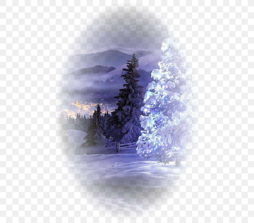 Blog Winter Desktop Wallpaper Clip Art, PNG, 480x720px, Blog, Android, Atmosphere, Calm, Conifer Download Free