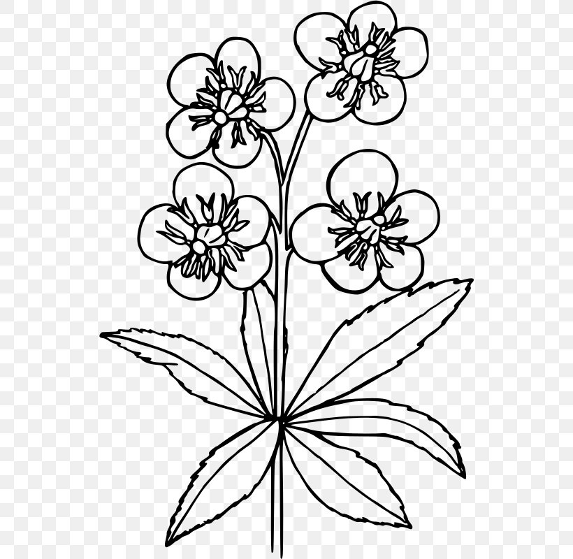 Flower Wall Decal Sticker Stencil, PNG, 536x800px, Flower, Area, Art, Black And White, Coloring Book Download Free