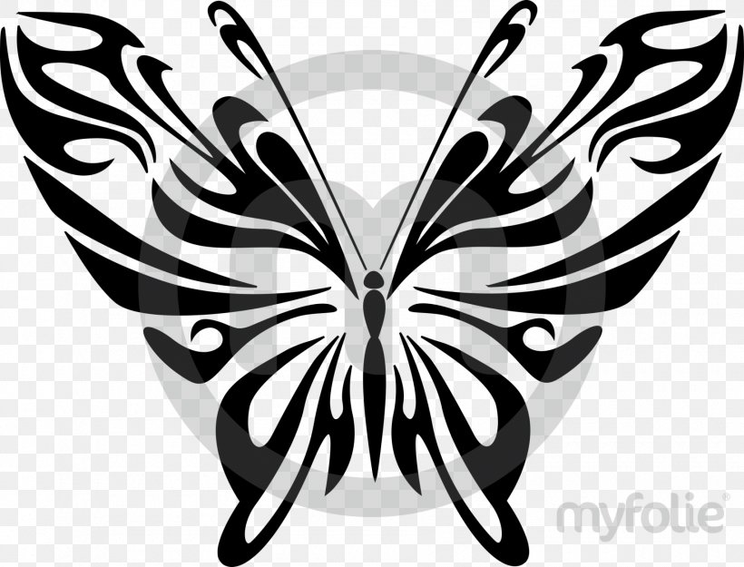 Clip Art Drawing Image, PNG, 1800x1373px, Drawing, Art, Arthropod, Black And White, Brush Footed Butterfly Download Free