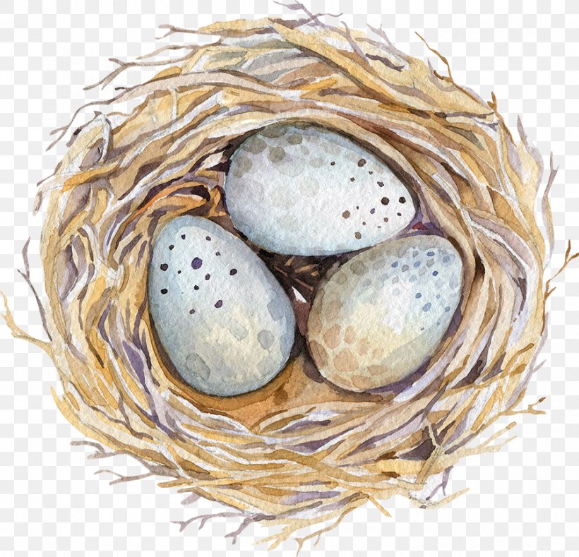 Watercolor Painting Drawing Stock Photography Illustration, PNG, 900x867px, Watercolor Painting, Bird Nest, Creative Market, Drawing, Easter Download Free