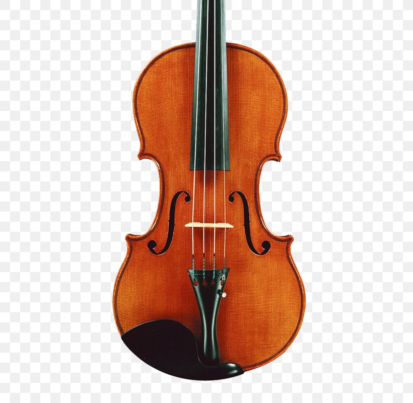 Baroque Violin Musical Instruments Cello Viola, PNG, 645x800px, Baroque Violin, Antonio Stradivari, Baroque Music, Bass Guitar, Bass Violin Download Free