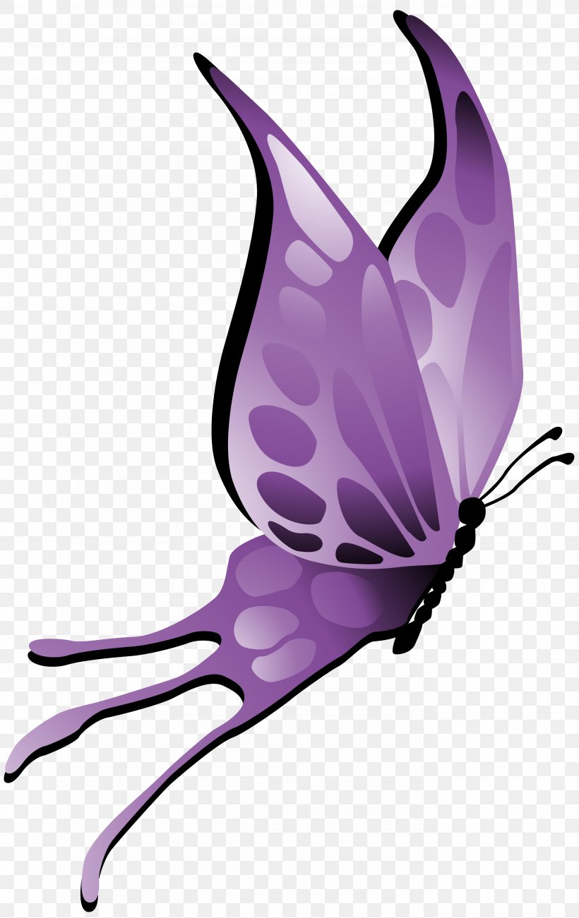 Butterfly Insect Pollinator Lilac Violet, PNG, 2752x4368px, Butterfly, Animal, Brush Footed Butterfly, Butterflies And Moths, Fictional Character Download Free