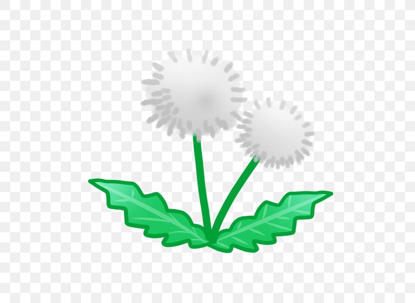 Clip Art Dandelion Illustration Watercolor Painting Image, PNG, 600x600px, Dandelion, Art, Chrysanthemum, Daisy Family, Flora Download Free