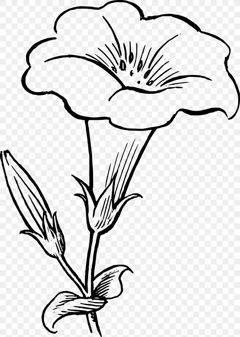 Flower Drawing Black And White Clip Art, PNG, 1969x2756px, Flower, Art, Artwork, Black, Black And White Download Free