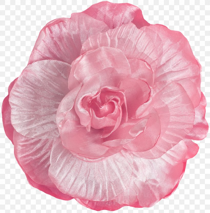 Garden Roses Cabbage Rose Cut Flowers Peony Petal, PNG, 1115x1134px, Garden Roses, Cabbage Rose, Camellia, Cut Flowers, Flower Download Free