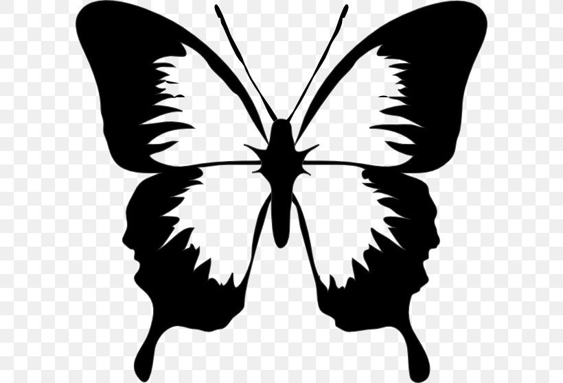 Clip Art Butterfly Openclipart Vector Graphics Free Content, PNG, 600x559px, Butterfly, Blackandwhite, Drawing, Insect, Invertebrate Download Free