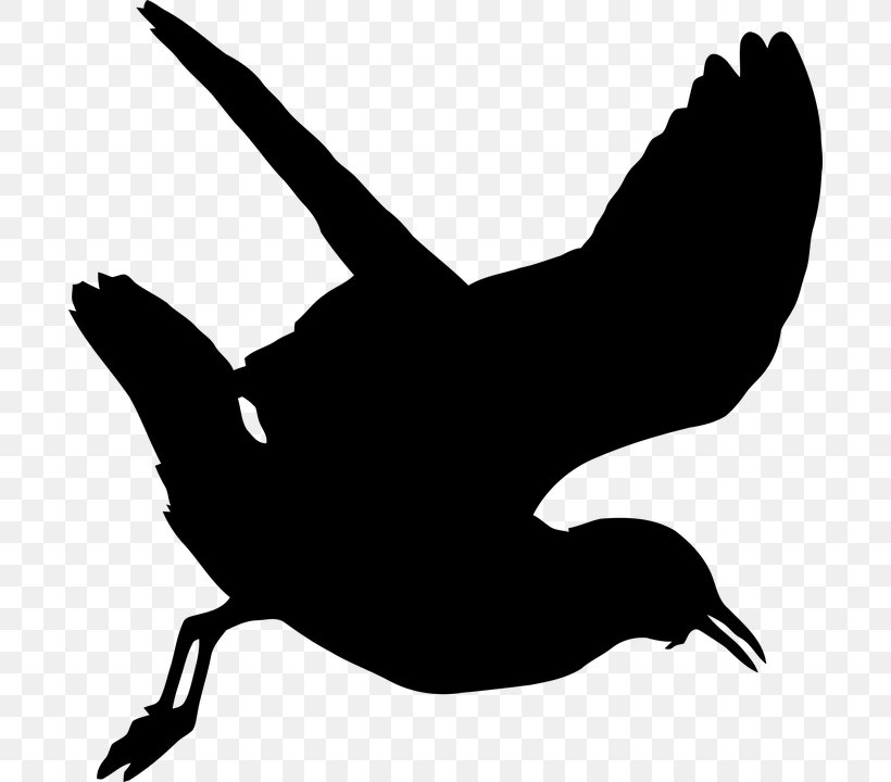 Gulls Clip Art, PNG, 694x720px, Gulls, Beak, Bird, Black, Black And White Download Free