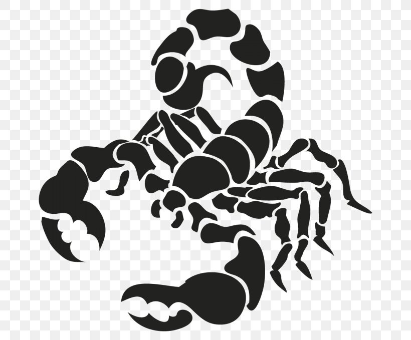 Scorpion Drawing, PNG, 700x679px, Scorpion, Arachnid, Art, Arthropod, Black Download Free