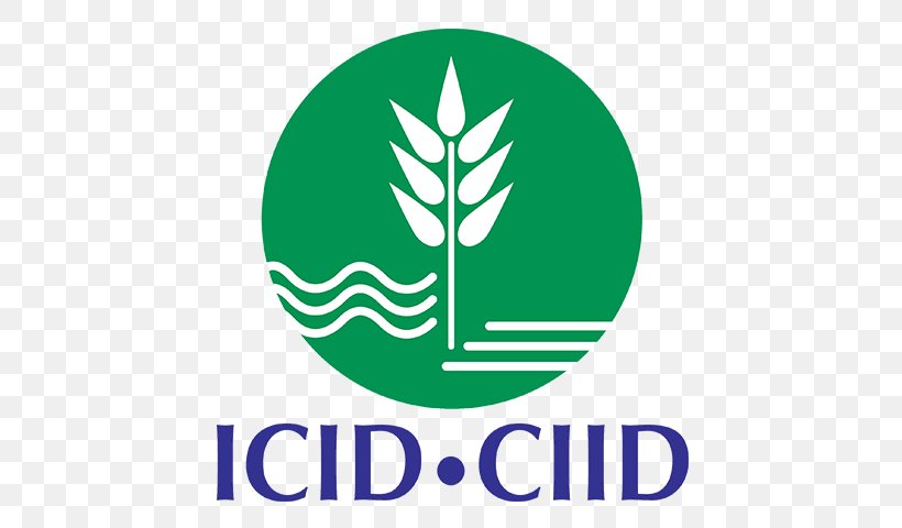 The International Commission On Irrigation And Drainage (ICID) Business 9th INTERNATIONAL MICRO IRRIGATION CONFERENCE, PNG, 800x480px, Business, Area, Brand, Convention, Drainage Download Free