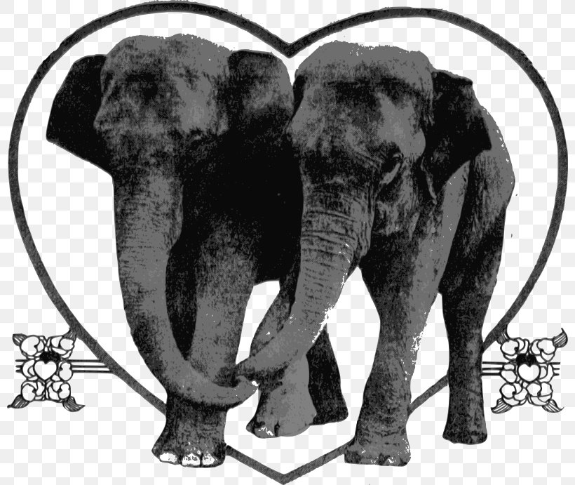 White Elephant Elephant Festival Clip Art, PNG, 800x691px, Elephant, African Elephant, Animal, Black And White, Elephant Festival Download Free
