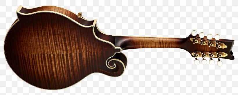 Acoustic-electric Guitar Musical Instruments Mandolin, PNG, 2500x1000px, Acousticelectric Guitar, Acoustic Electric Guitar, Acoustic Guitar, Antique, Bass Guitar Download Free