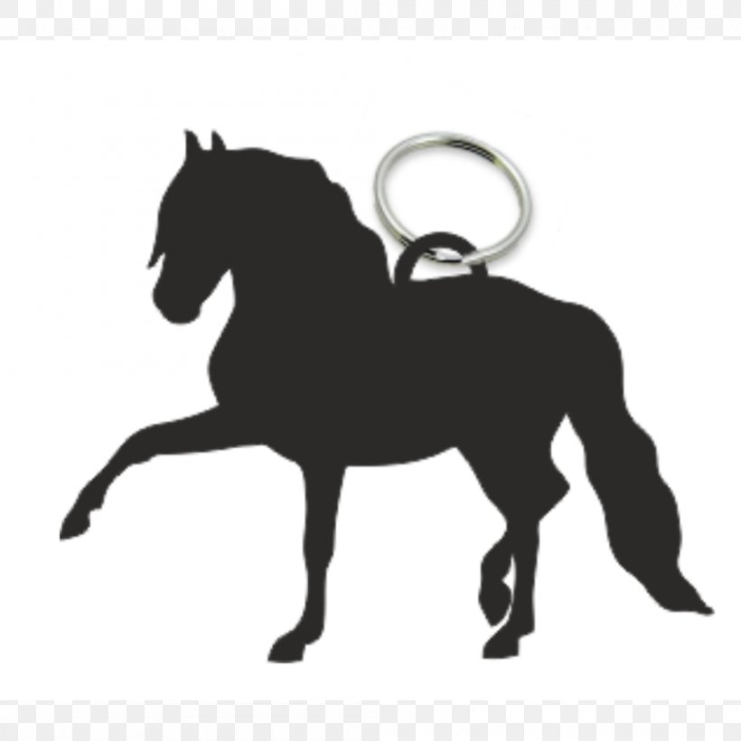 Andalusian Horse Wall Decal Sticker Equestrian, PNG, 1000x1000px, Andalusian Horse, Bridle, Bumper Sticker, Decal, Dressage Download Free