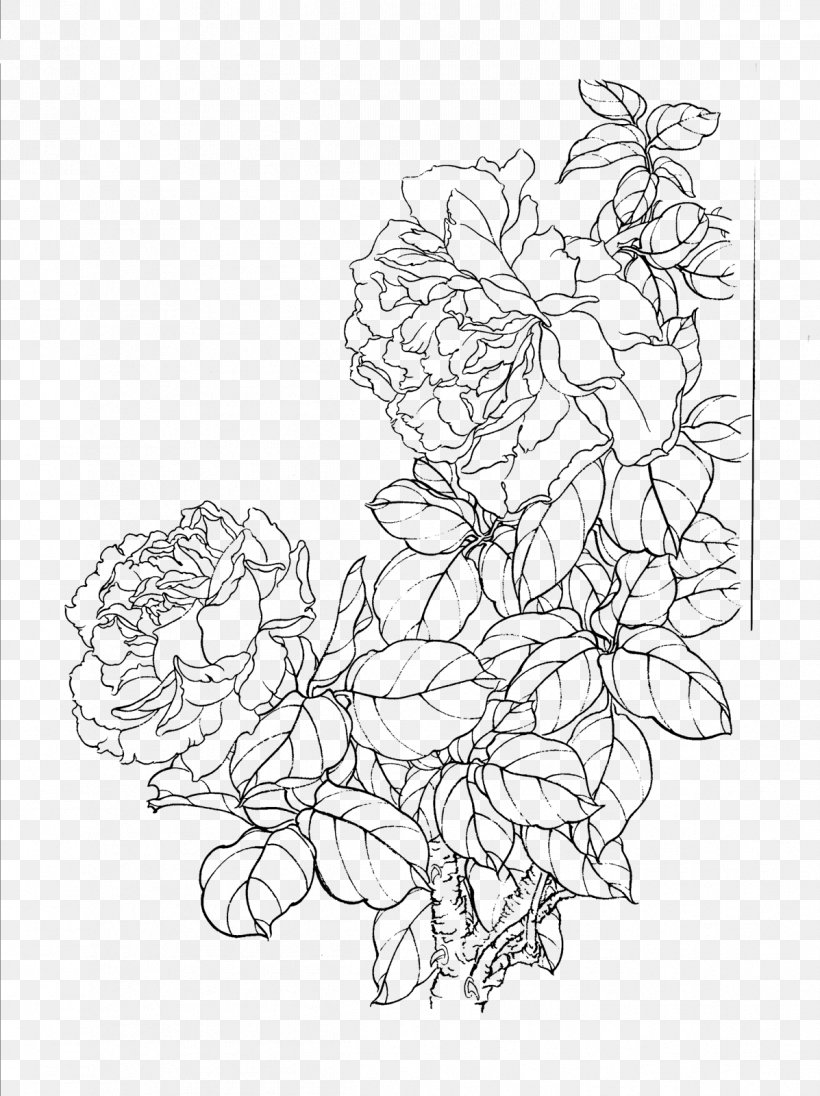 Drawing Rosa Chinensis Gongbi Moutan Peony, PNG, 1197x1600px, Drawing, Area, Art, Artwork, Black And White Download Free