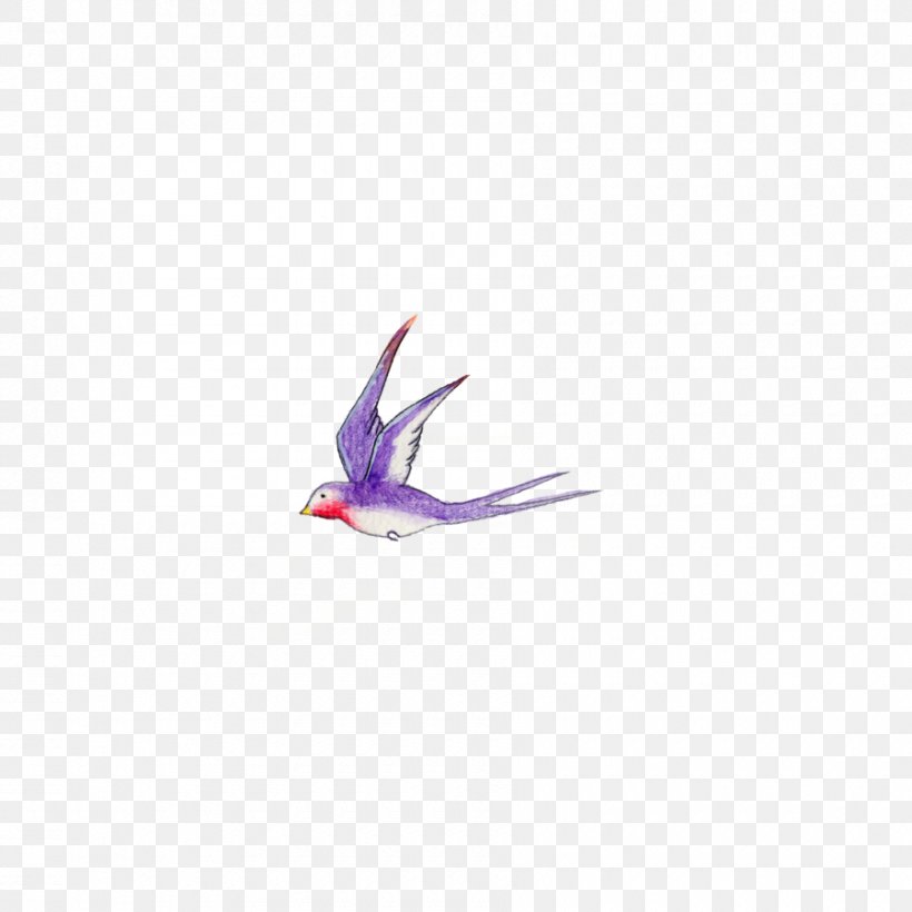 Feather, PNG, 900x900px, Feather, Bird, Pollinator, Purple, Violet Download Free