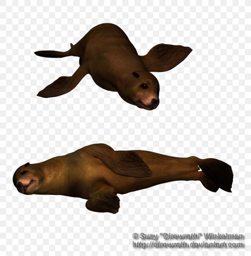 Sea Lion Marine Mammal Animal Horse, PNG, 1024x1045px, Sea Lion, Animal, Aquatic Animal, Art, Carnivora Download Free