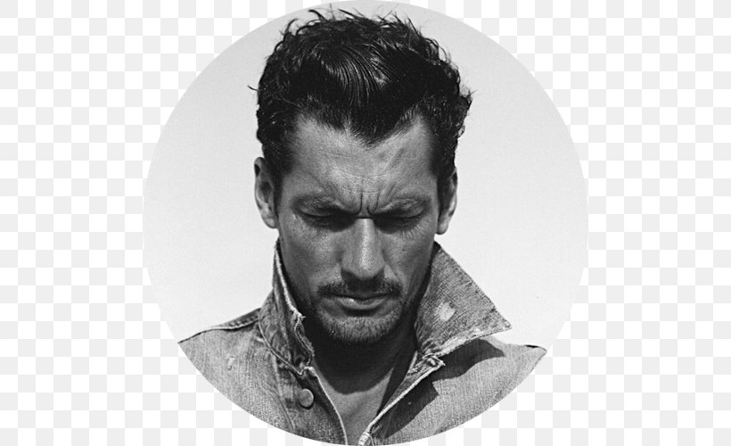 David Gandy Heartbreaker Model Fashion Author, PNG, 500x500px, David Gandy, Actor, Ashley Olsen, Author, Black And White Download Free