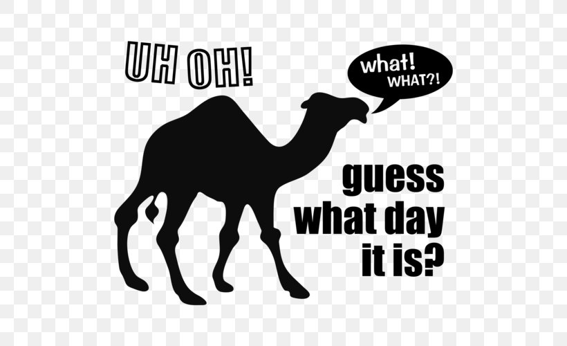 Dromedary Camel Clip Art Wednesday, PNG, 500x500px, Dromedary, Arabian Camel, Black, Black And White, Camel Download Free