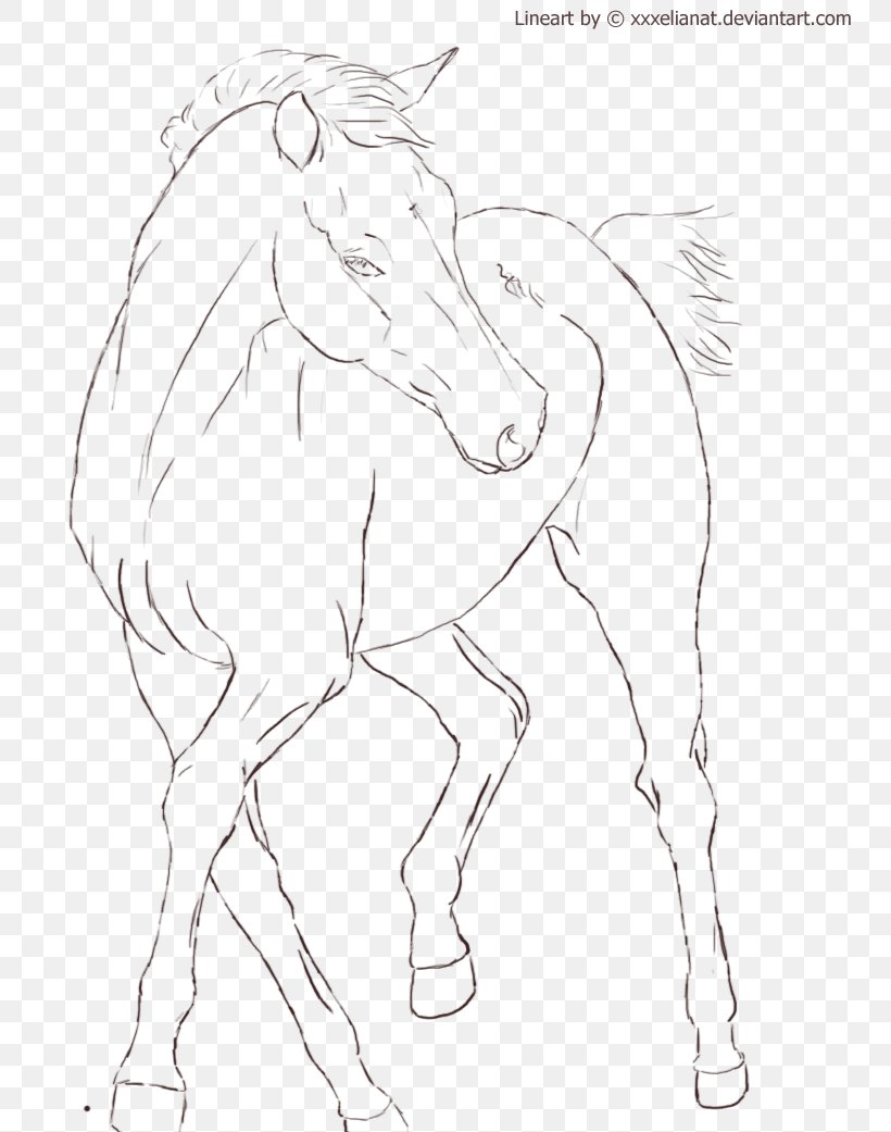 Horse Pony Line Art Drawing Stallion, PNG, 767x1041px, Horse, Animal Figure, Arm, Artwork, Black And White Download Free
