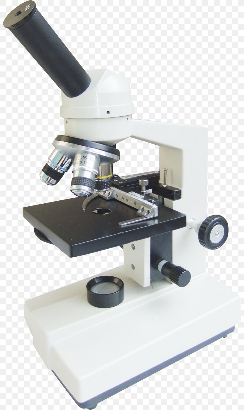 Optical Microscope Experiment, PNG, 800x1377px, Microscope, Cell, Data, Experiment, Gratis Download Free