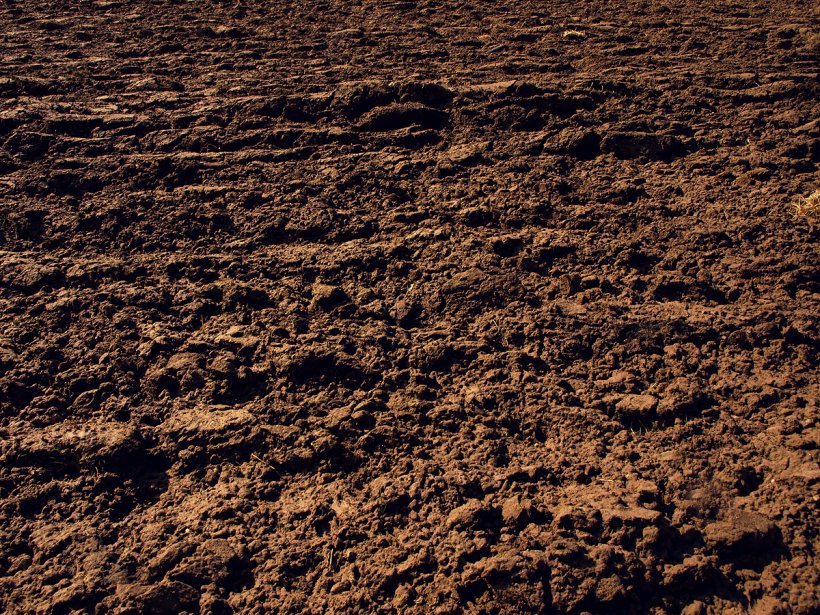 Soil Photography Texture Clay, PNG, 1200x900px, Soil, Arable Land, Brown, Clay, Common Sunflower Download Free