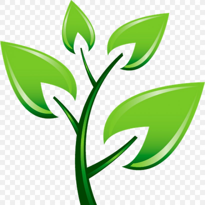Tree Planting Pruning Clip Art, PNG, 900x900px, Tree Planting, Arbor Day, Crop, Flora, Flower Download Free