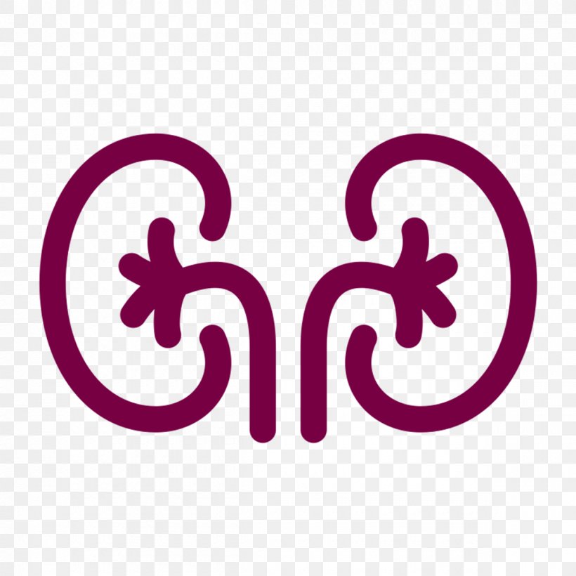 Urology Health Kidney Medicine Disease, PNG, 1200x1200px, Urology, Andrology, Brand, Disease, Health Download Free