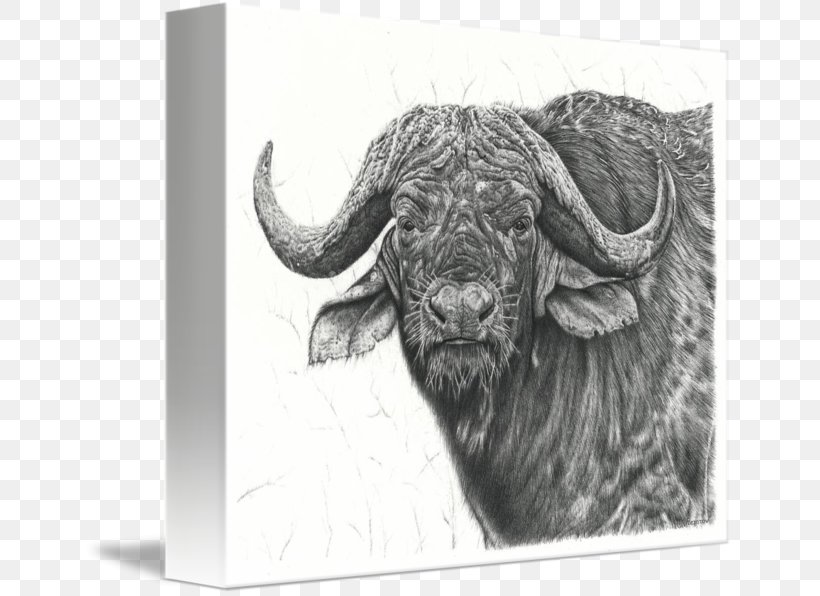 Drawing Water Buffalo Line Art Sketch, PNG, 650x596px, Drawing, African Buffalo, Art, Bison, Black And White Download Free
