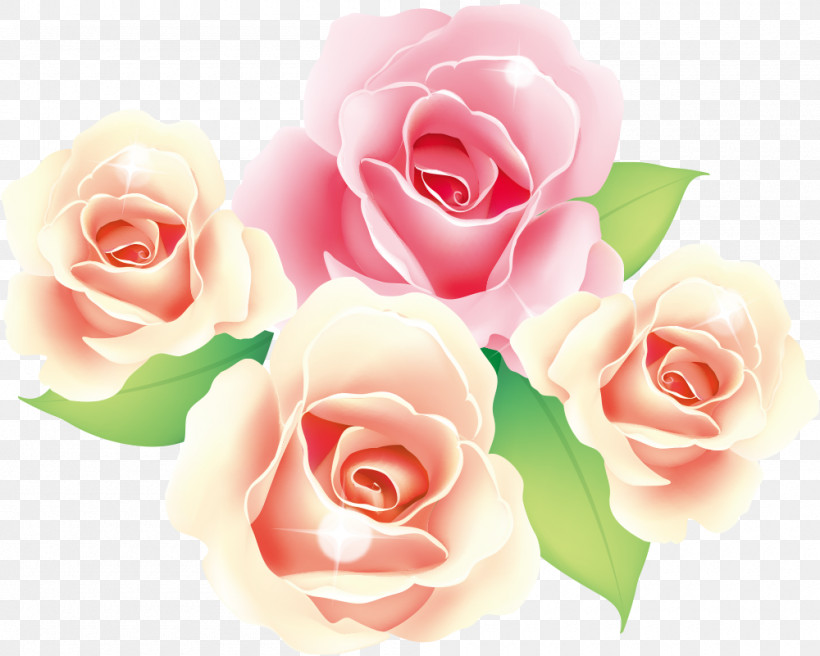 Flowers Roses Valentines Day, PNG, 1000x801px, Flowers, Camellia, Cut Flowers, Floribunda, Flower Download Free