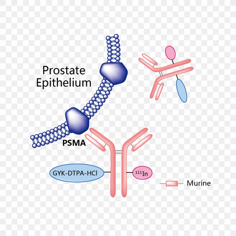 Obinutuzumab Vemurafenib Trastuzumab Emtansine Rituximab Pharmaceutical Drug, PNG, 1418x1418px, Obinutuzumab, Bcell Chronic Lymphocytic Leukemia, Cancer, Daratumumab, Diagram Download Free