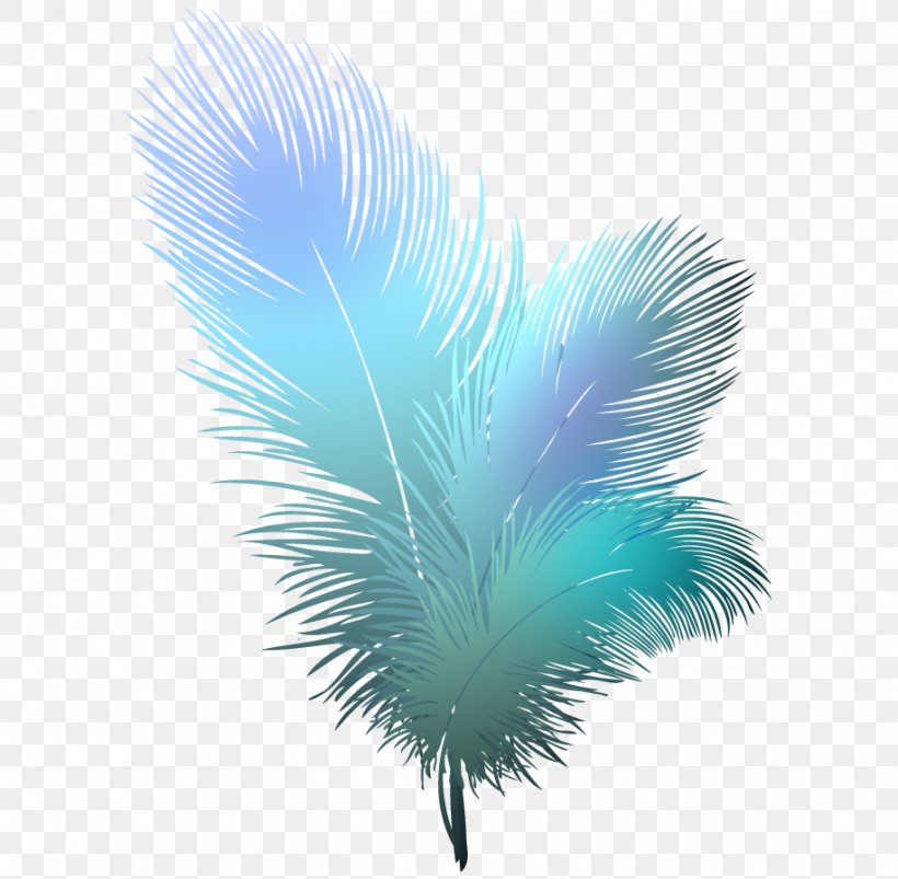 Bird Feather Clip Art, PNG, 916x898px, Bird, Color, Drawing, Feather, Peafowl Download Free