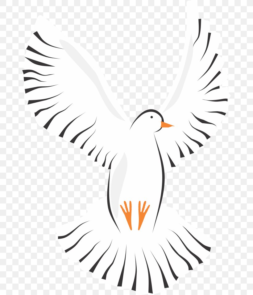 Columbidae Homing Pigeon Clip Art, PNG, 676x957px, Columbidae, Artwork, Beak, Bird, Branch Download Free