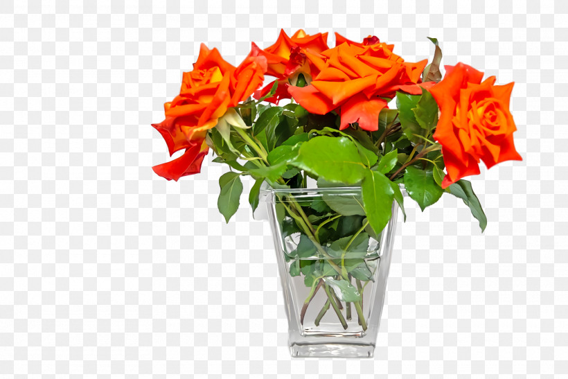 Garden Roses, PNG, 1920x1282px, Garden Roses, Artificial Flower, Camera, Cut Flowers, Floral Design Download Free