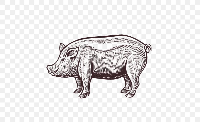 Domestic Pig Pork Meat Illustration, PNG, 500x500px, Domestic Pig, Automotive Design, Bauernhof, Black And White, Drawing Download Free